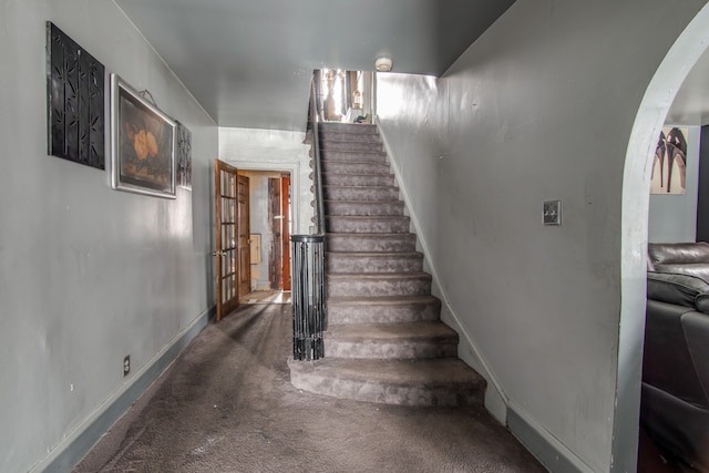 staircase featuring carpet