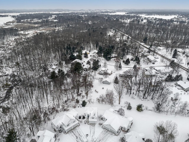 view of snowy aerial view