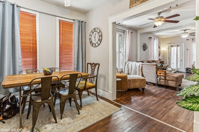 dining space featuring ceiling fan, dark hardwood / wood-style floors, and a wealth of natural light