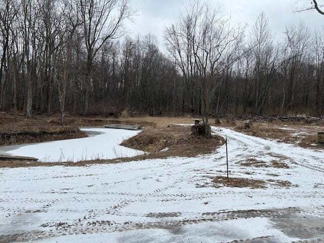 view of snowy yard