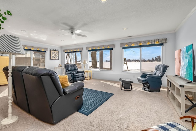 living room with crown molding, carpet floors, ceiling fan, and a textured ceiling