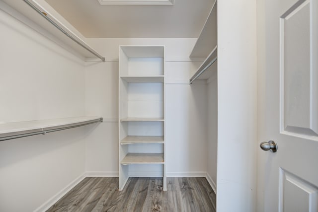 spacious closet featuring dark hardwood / wood-style flooring