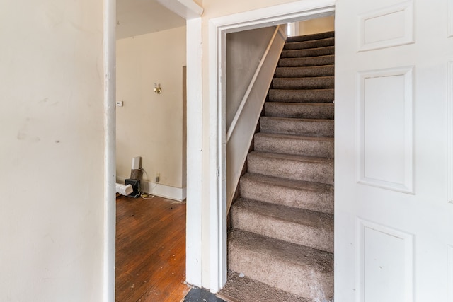 stairway with wood-type flooring