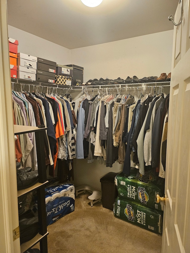 walk in closet with carpet