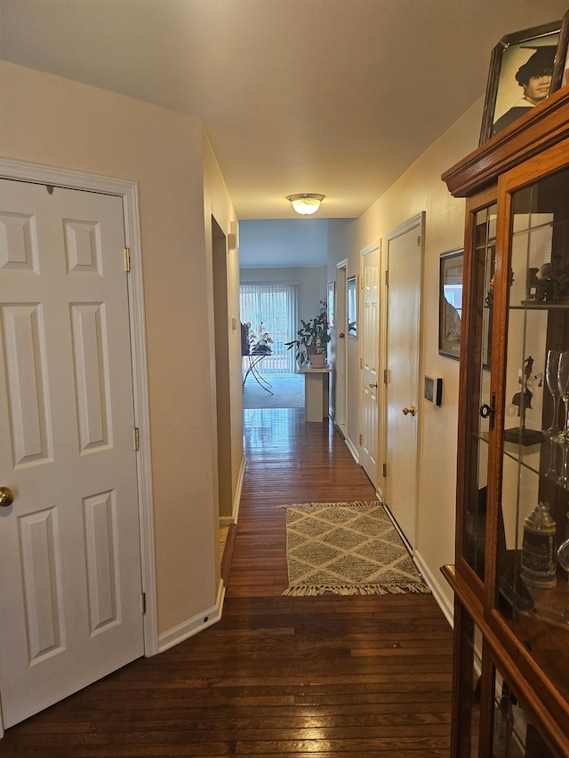 corridor featuring dark wood-type flooring