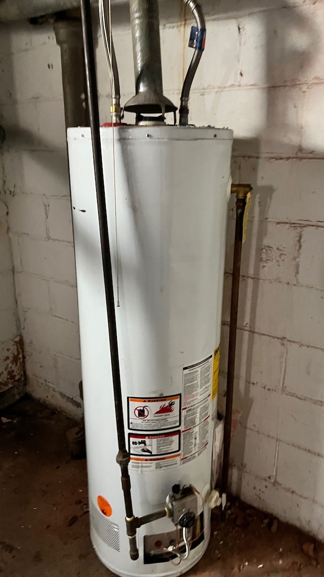 utility room with gas water heater