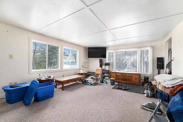 6444 E M-115, Cadillac, MI 49601 - photo 16
