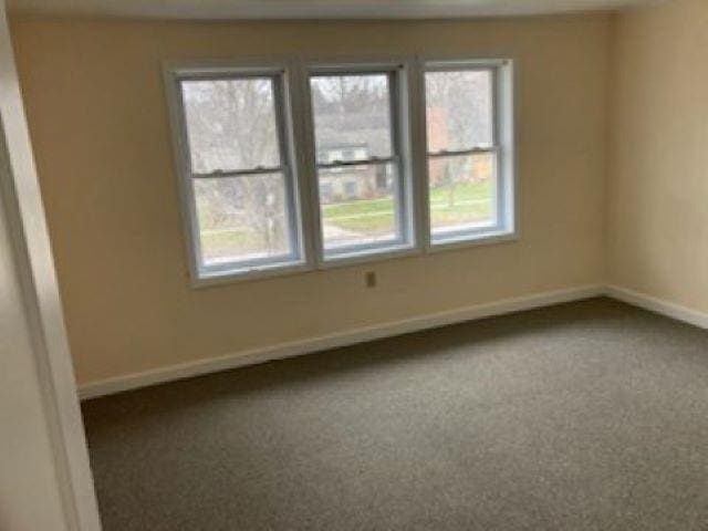 spare room with carpet flooring, a wealth of natural light, and baseboards