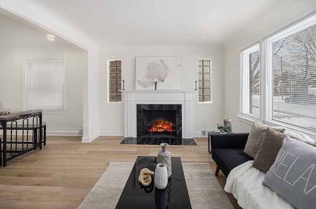 living room with baseboards, light wood finished floors, and a premium fireplace