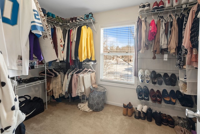 walk in closet featuring carpet