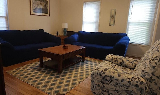 living room with hardwood / wood-style floors