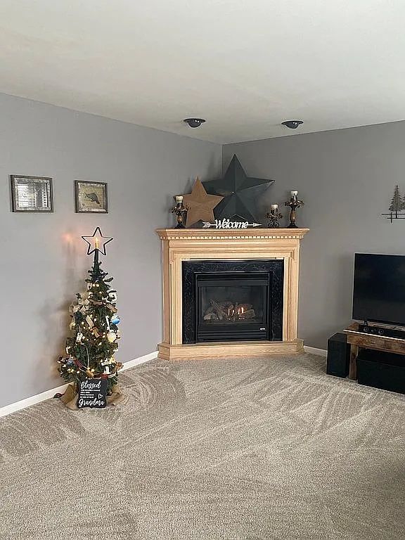 living room with carpet flooring