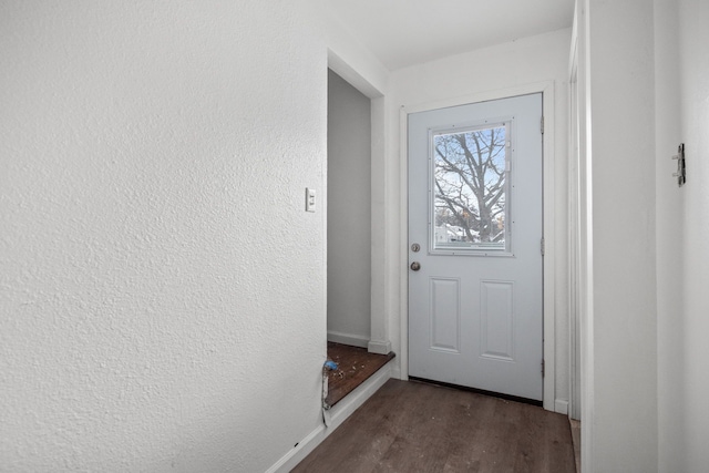 entryway featuring dark wood-type flooring