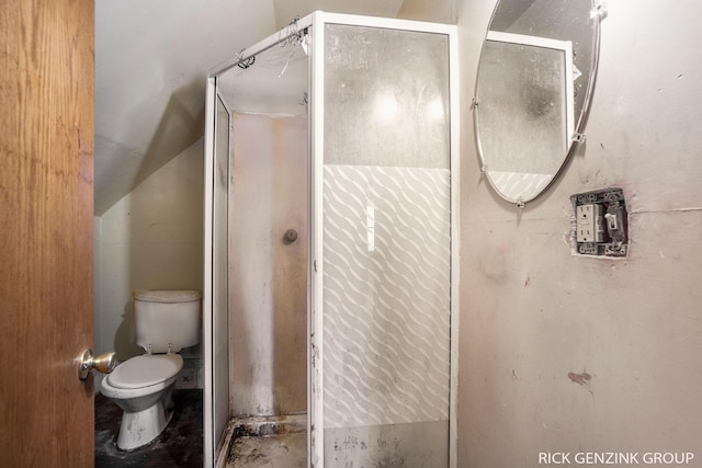 bathroom featuring walk in shower, toilet, and vaulted ceiling