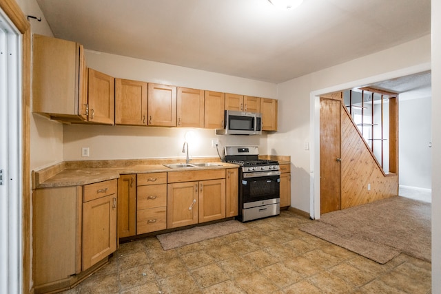 kitchen with appliances with stainless steel finishes and sink