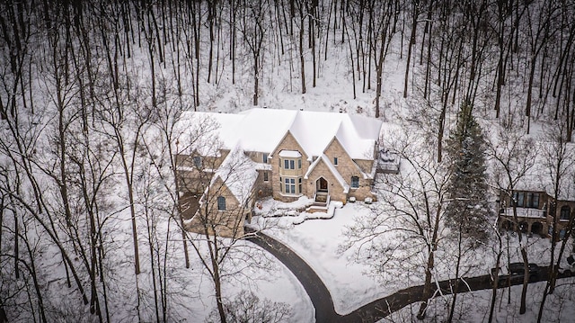 view of snowy aerial view