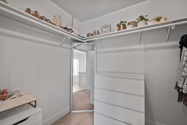 6705 College Park, Clarkston, MI 48346 - walk in closet with light carpet