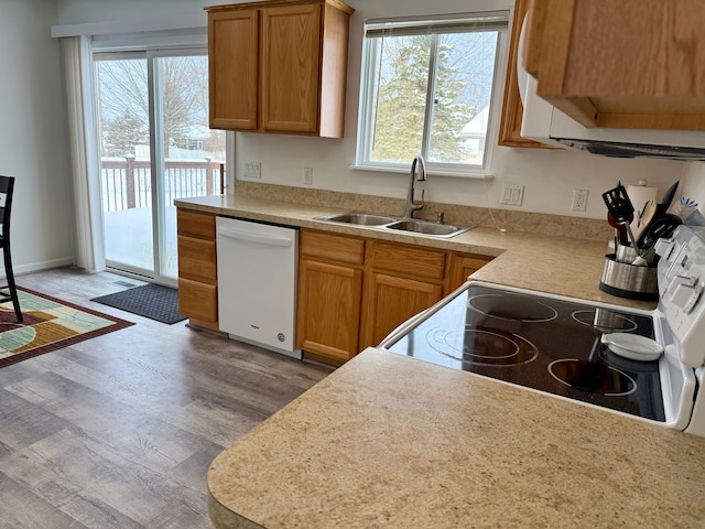 kitchen with a healthy amount of sunlight, sink, hardwood / wood-style floors, and white appliances