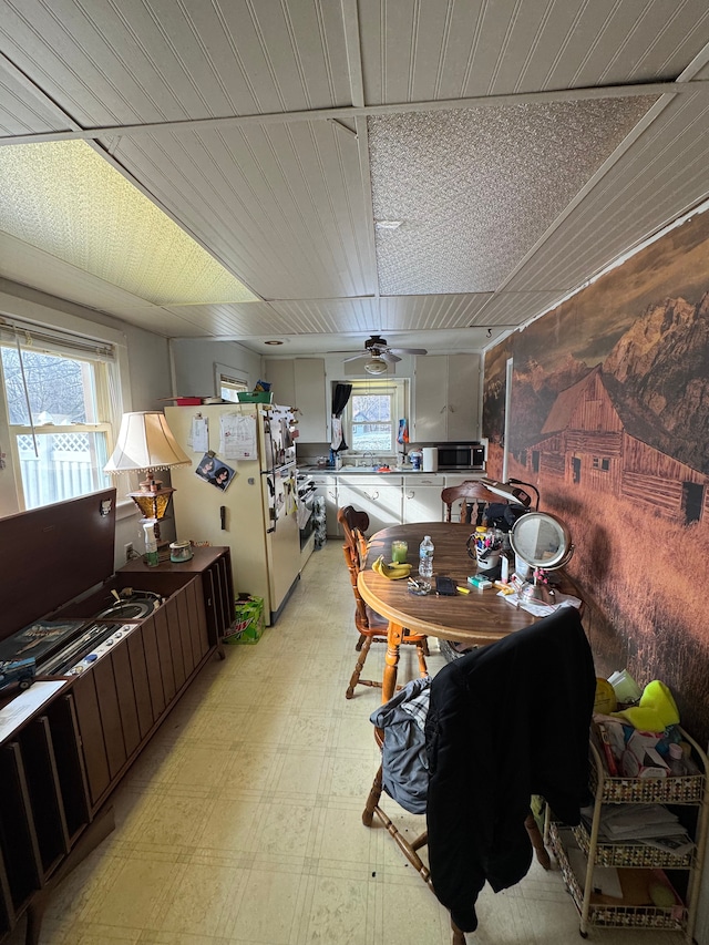 kitchen featuring dark brown cabinets, ceiling fan, and white fridge