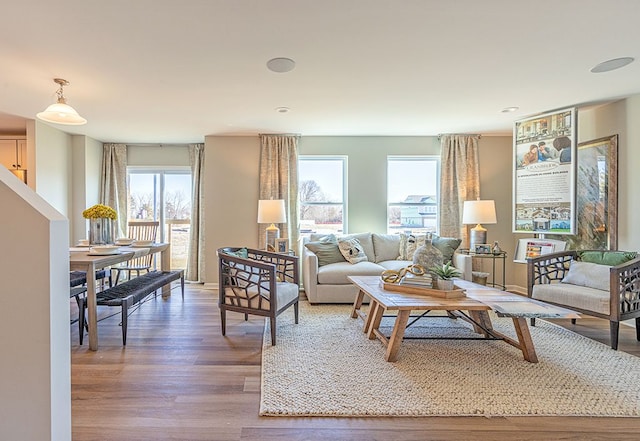 living area featuring wood finished floors