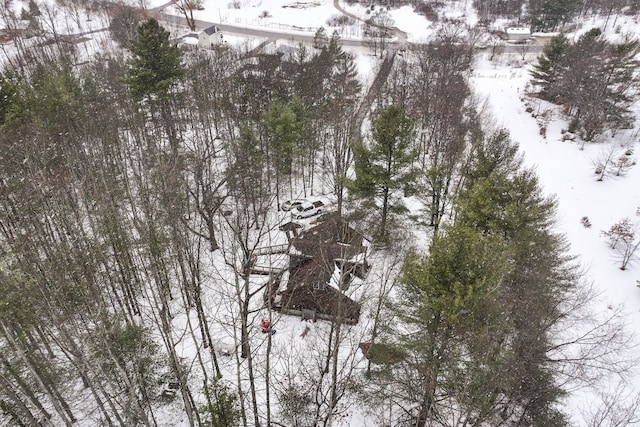 view of snowy aerial view