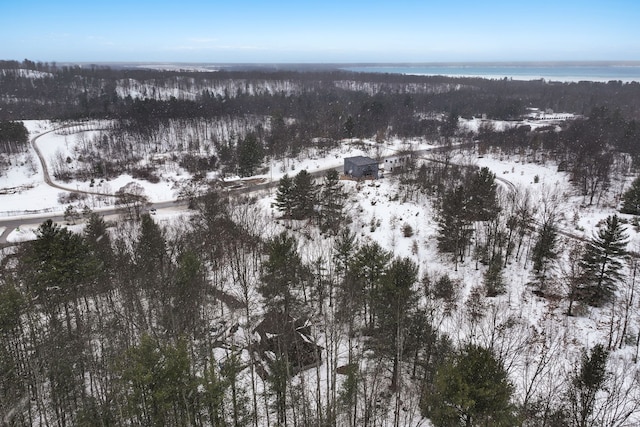 3232 5 Mile Rd, Traverse City, MI 49686 - view of snowy aerial view