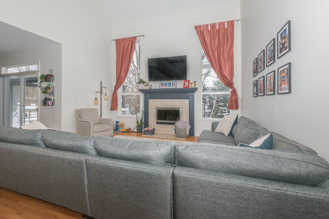 living room with a tile fireplace and wood-type flooring