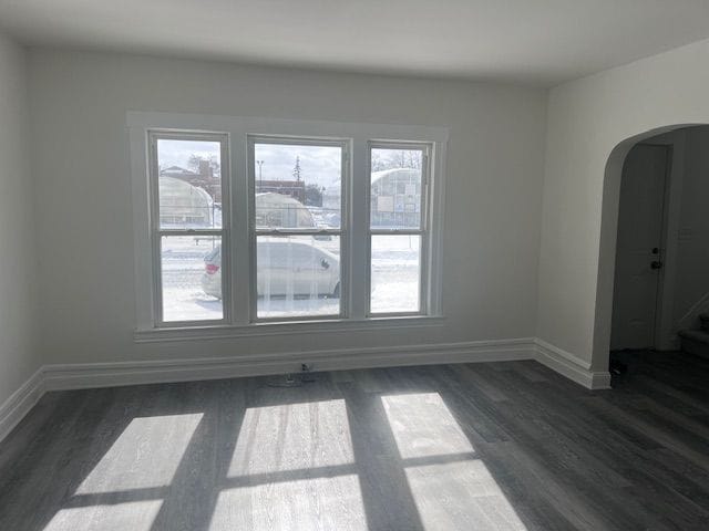 empty room featuring dark hardwood / wood-style flooring and a healthy amount of sunlight