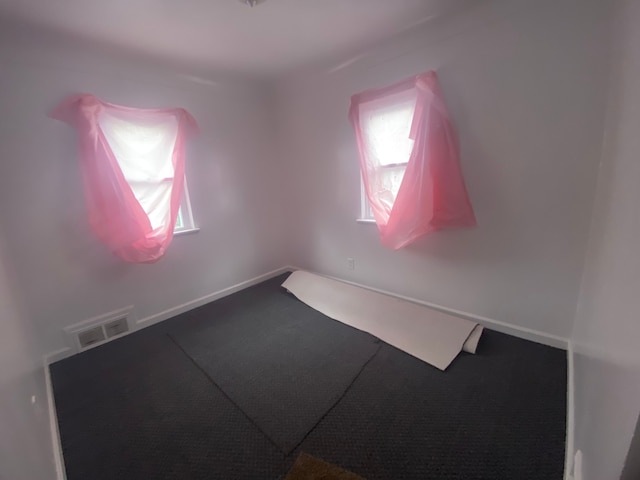 empty room featuring carpet