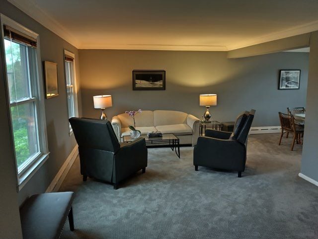 22673 Garrison St Unit 208, Dearborn, MI 48124 - living room with a healthy amount of sunlight, carpet floors, and baseboard heating
