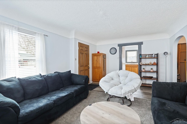 living room with plenty of natural light, a textured ceiling, and light hardwood / wood-style flooring