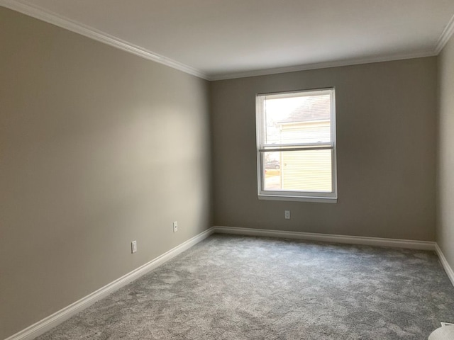 carpeted empty room featuring crown molding