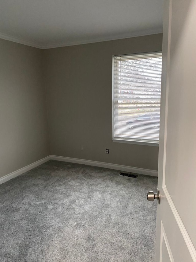 carpeted spare room with crown molding