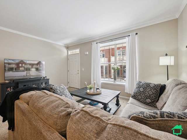 carpeted living room featuring ornamental molding