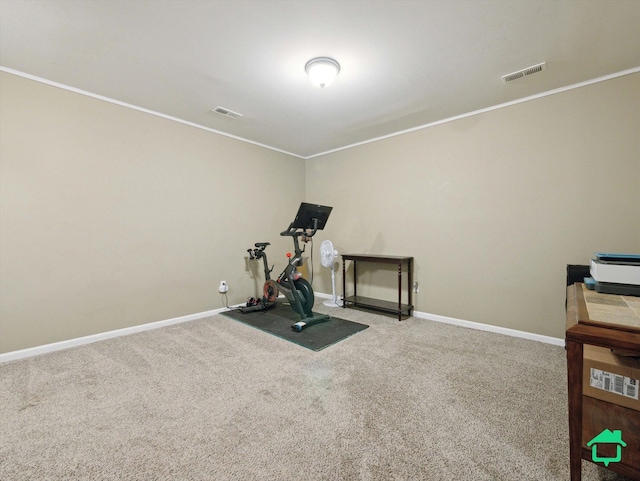 workout area with carpet floors and ornamental molding