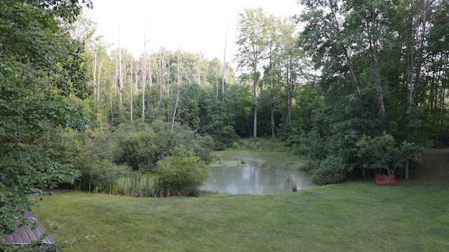 view of water feature