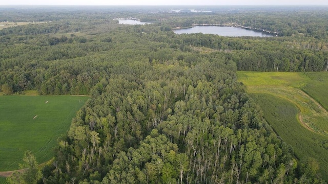 aerial view with a water view and a rural view