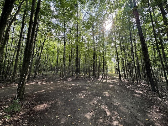 view of local wilderness