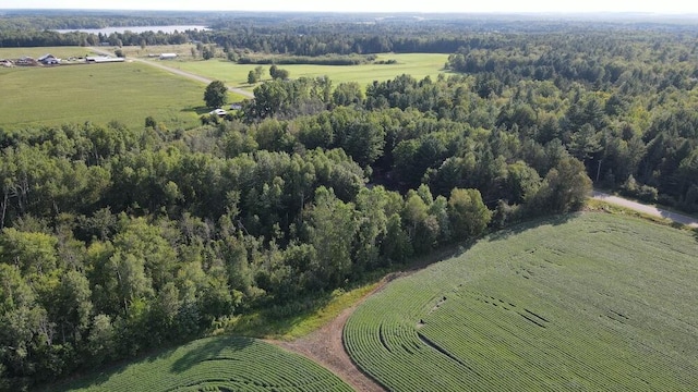 bird's eye view with a rural view