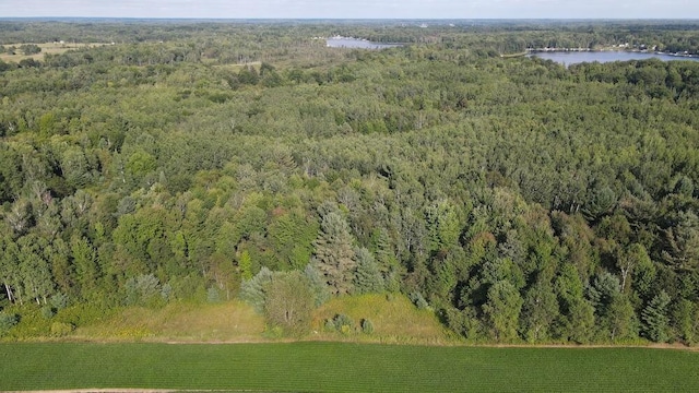 bird's eye view featuring a water view and a rural view