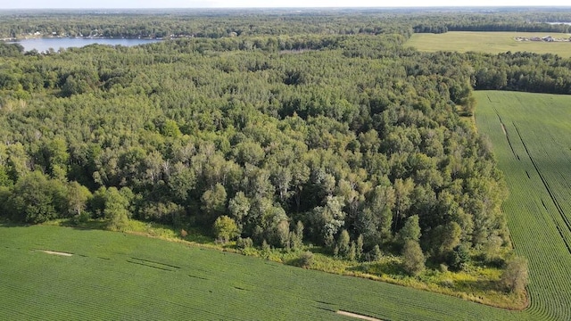 drone / aerial view featuring a rural view and a water view