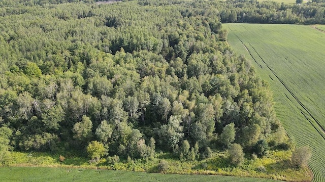 aerial view with a rural view