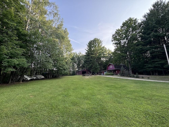 view of yard featuring an outdoor structure