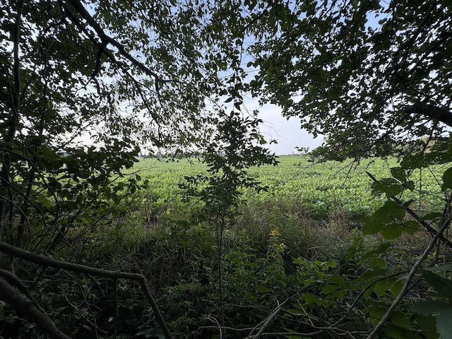 view of landscape