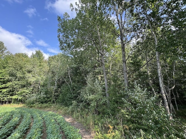 view of local wilderness