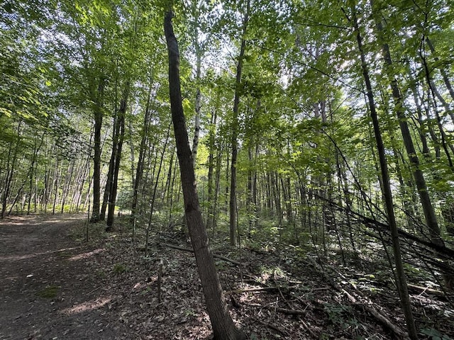 view of local wilderness