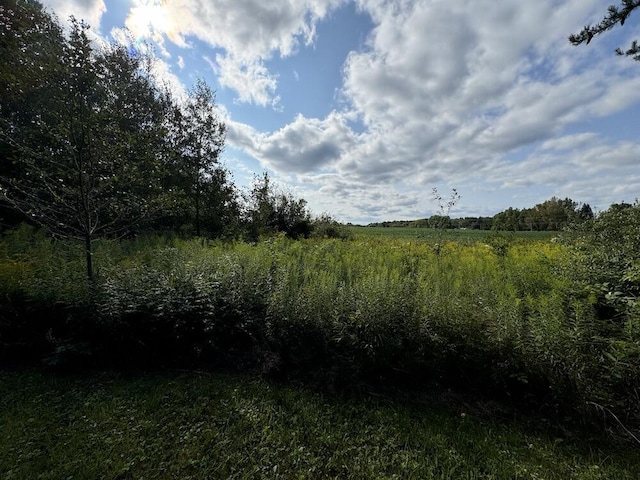 view of landscape