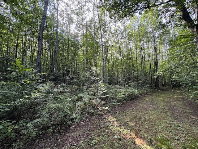 view of local wilderness