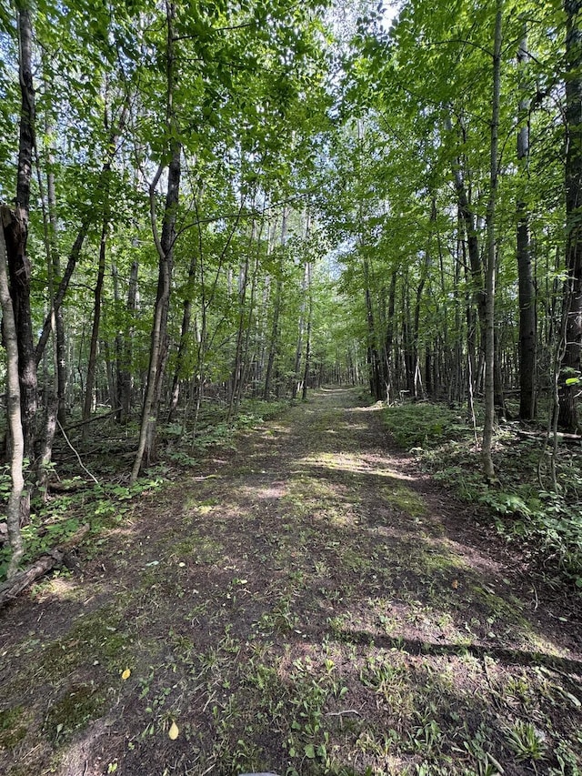 view of local wilderness