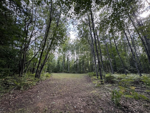 view of landscape